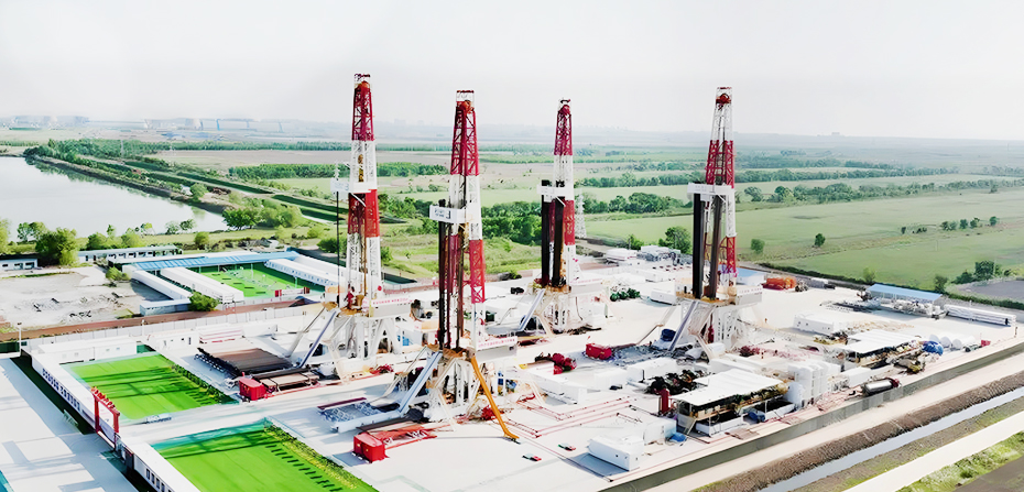 Failure Analysis and Integrity Management